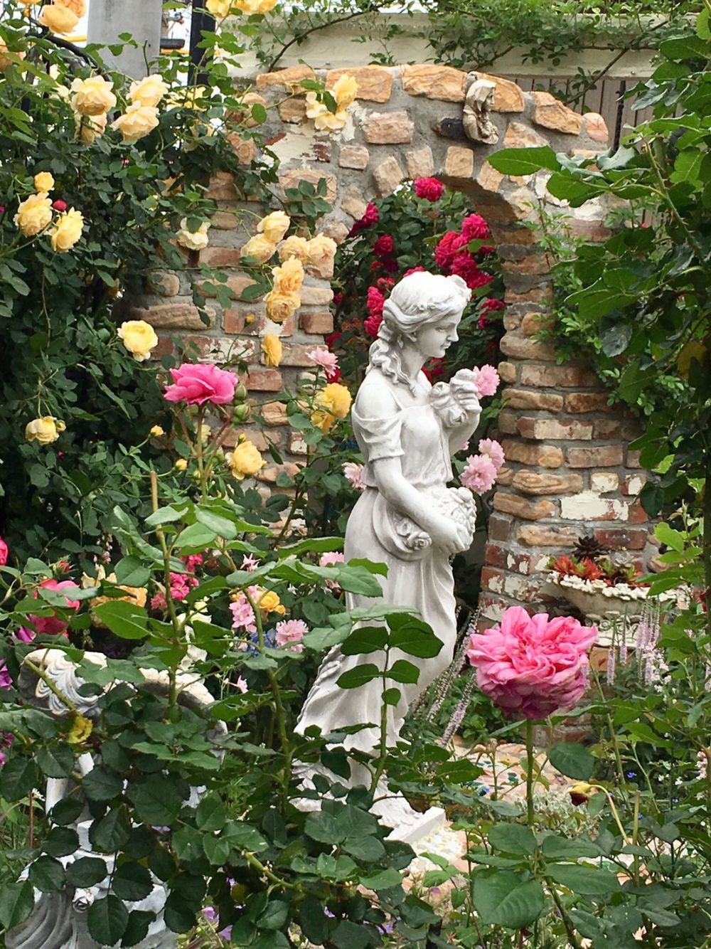 Rose kaori | 武智 香利